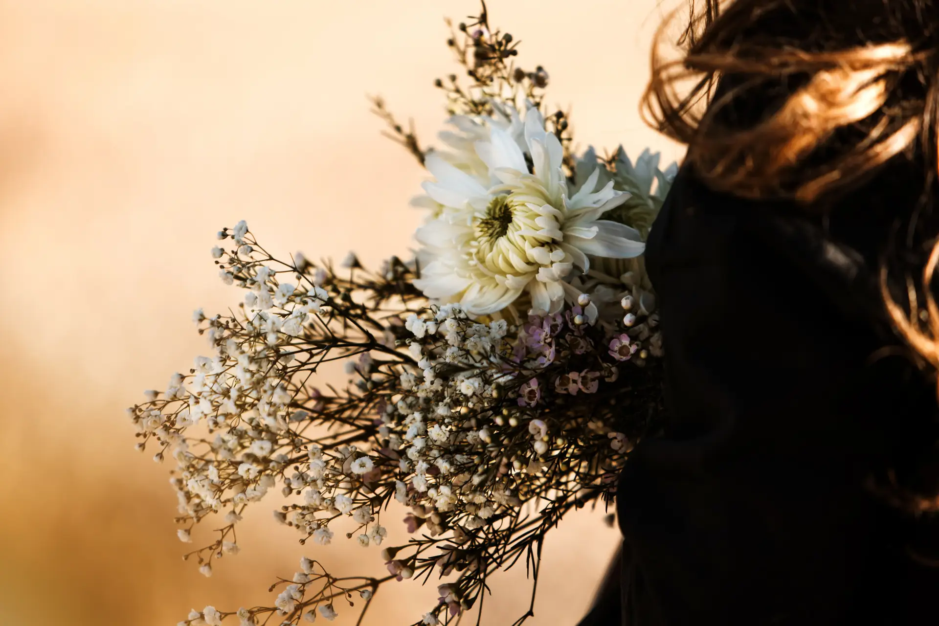 Delicate chrysanthemums